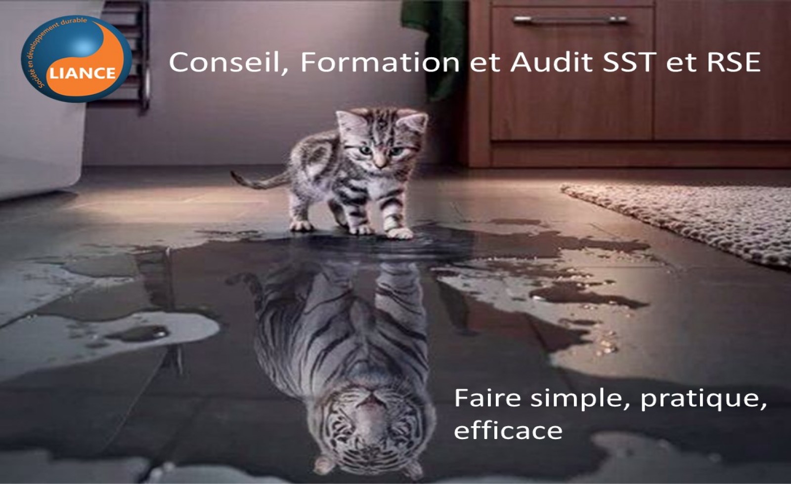 Image de la formation